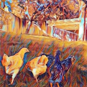 SALE:Original Country Feel Watercolor of Chickens in Home Decor